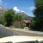 Welcome to Sequoia National Park