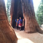 Our first experience being able to touch the giants